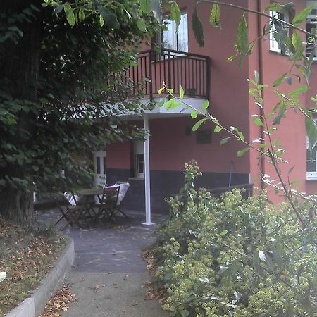 Apartamentos Los Balcones Tineo Exterior photo